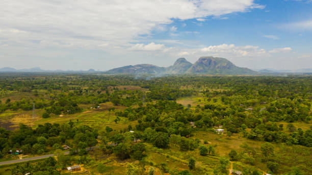 istock Rural landscape in Sri Lanka. 1402395113