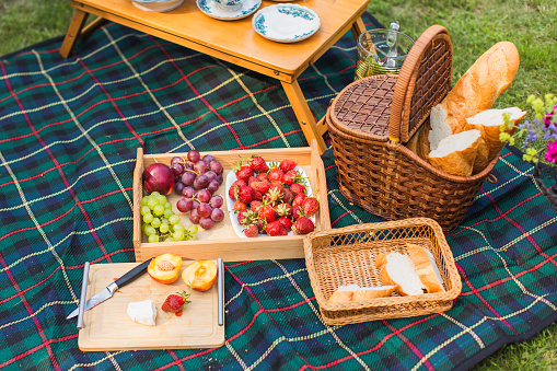 Baguette in a basket. Grapes, cheese, peaches, baguette, nectarines, strawberries on tray. Picnic table. Take berry. Summer vacation. Outdoor recreation. Childhood. Leisure activity. Rental house