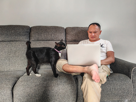 Close-up shot of Vietnamese mature man working on his laptop with accompany of his cat, while he's sitting on the sofa.