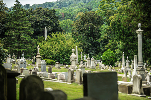 Cemetery in summer