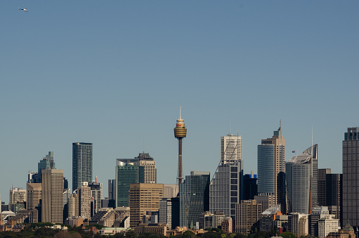 The Sydney Skyline