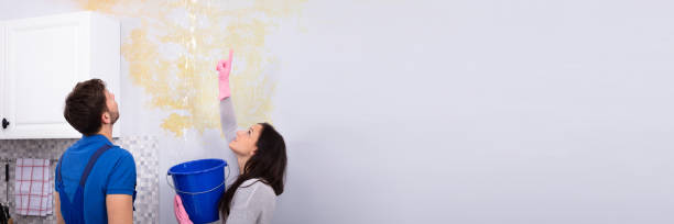 istock Woman Holding Bucket Showing Water Leaking From Damage Ceiling 1402409804
