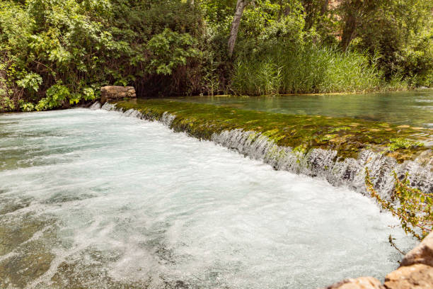 arroyo hermon en el área del parque nacional en el norte de israel - stream forest river waterfall fotografías e imágenes de stock