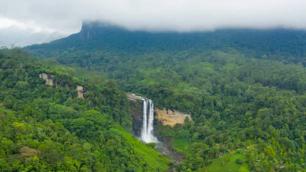 Photo of Beautiful waterfall among the rainforest.