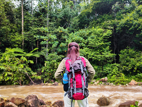 rear view of young woman looking rapid river on hiking trip in tropical rainforest