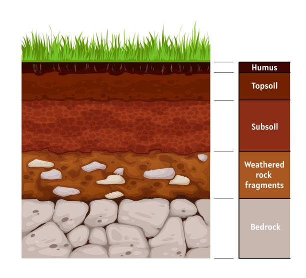 Soil layer infographic, earth geology formation Soil layer infographic, earth geology formation bedrock, weathered rock fragments, subsoil, topsoil, humus. Vector infographics chart with soil cross section and underground surface bedrock stock illustrations
