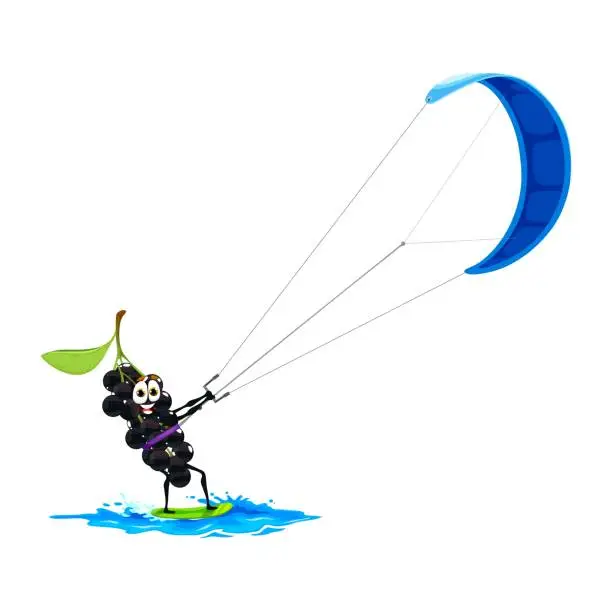 Vector illustration of Cartoon bird cherry character on kitesurfing sport