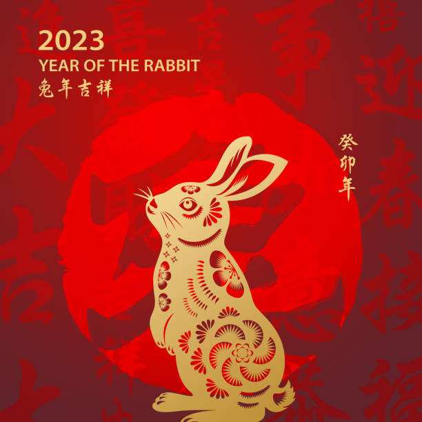 Golden Year of the Rabbit Celebrate the Year of the Rabbit 2023 with gold colored rabbit paper art and red stamp on the red Chinese language background, the background red stamp means rabbit, the horizontal Chinese phrase means wish you luck in the year of the rabbit and the vertical Chinese phrase means Year of the Rabbit according to Chinese lunar calendar system chinese new year stock illustrations