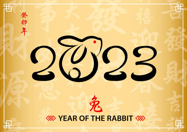 illustrazioni stock, clip art, cartoni animati e icone di tendenza di anno del coniglio 2023 calligrafia - anno del coniglio