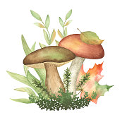 istock Watercolor mushrooms and fall plants clipart 1402429675