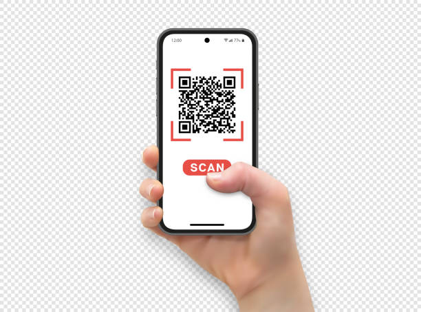 illustrations, cliparts, dessins animés et icônes de femme tenant la main et touchant l’écran du smartphone avec le pouce, scan qr code, illustration vectorielle - silhouette document adult adults only