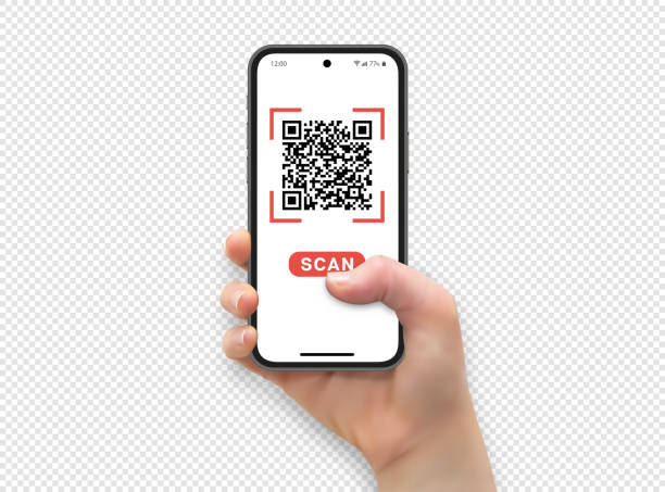 Woman hand holding and touching smartphone screen with thumb, Scan qr code, vector illustration Woman hand holding and touching smartphone screen with thumb isolated on transparent background in vector format people borders stock illustrations