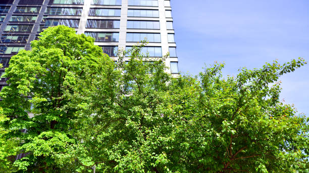 istock Fresh green trees and office building, 1402432464