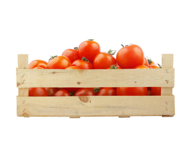 istock Red tomatoes in wooden crate isolated on white 1402432689