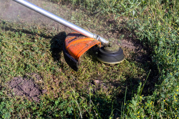 istock Work on mowing grass with a trimmer. the process of mowing tall grass with a trimmer. 1402433902