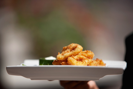 Serving fried onion rings on a plate
