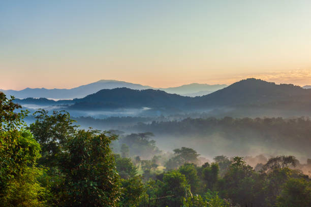 istock Himalaya hills in mist, sunrise landscape 1402440929