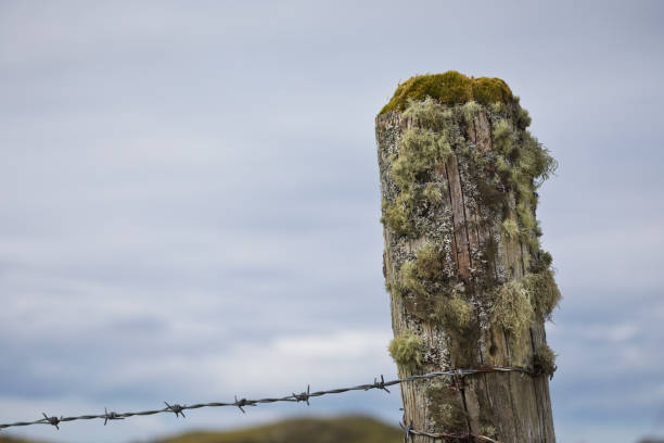 Timber clad farm barrier in rural countryside. Selective focus.