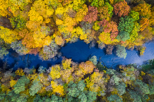 Top view of colorful forest and river at autumn, Europe