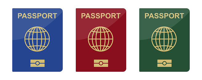 Biometric passport vector flat icon. Blue, red and green leather passport. Vector set.