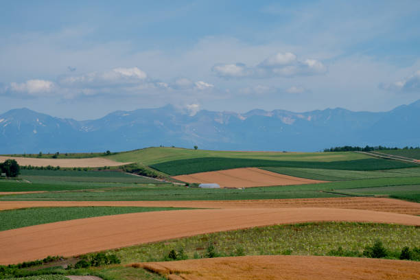 istock Green and golden fields and mountain range 1402444307