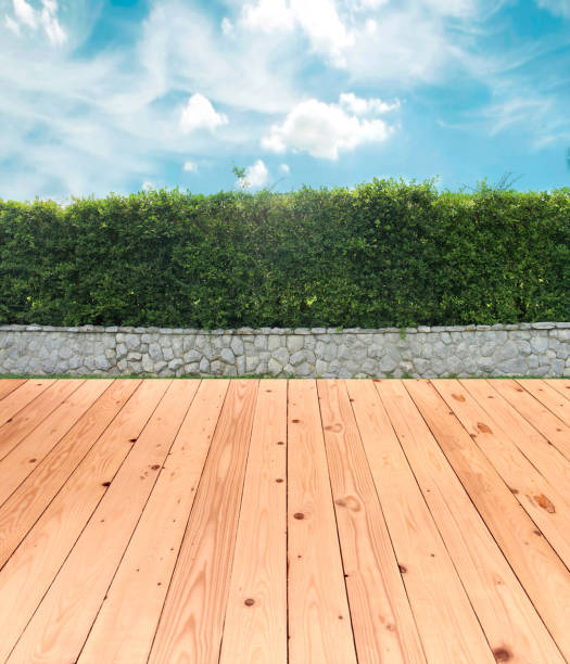 istock brick wall and ornamental shrub with wood floor 1402446863