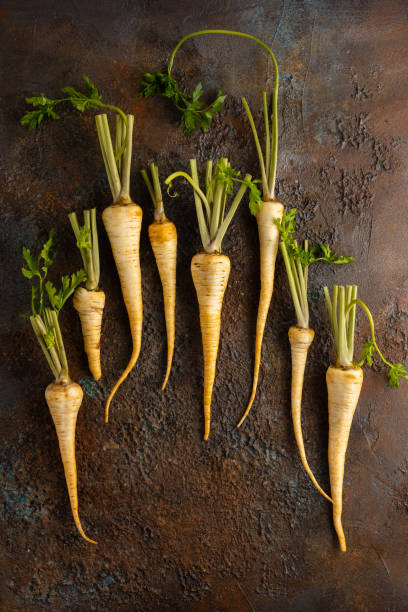 organische pastinaken auf strukturiertem hintergrund. herbsternte von wurzelgemüse. konzept gesundes essen. - parsnip vegetable winter food stock-fotos und bilder