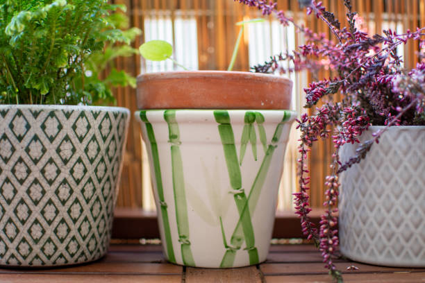 istock Three pots with different textures on a small balcony of an apartment 1402449277