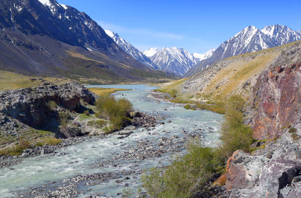 istock mountain river landscape in Altay 1402450034