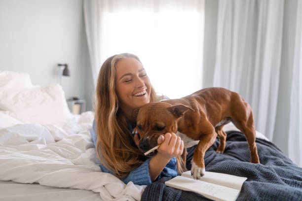 istock Dog distracting her owner in the bedroom 1402450054