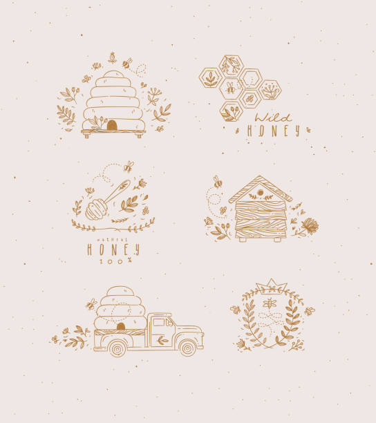 Set honey graphic labels Honey collection of labels, beehive, honeycomb, spoon with flower and branches drawing in graphic style beehive hairstyle stock illustrations