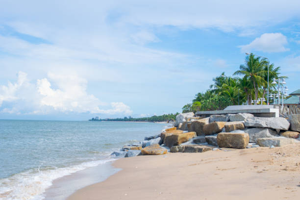 istock beautiful beach with coconut tree in thailand,Bangsaen Beach 1402451710