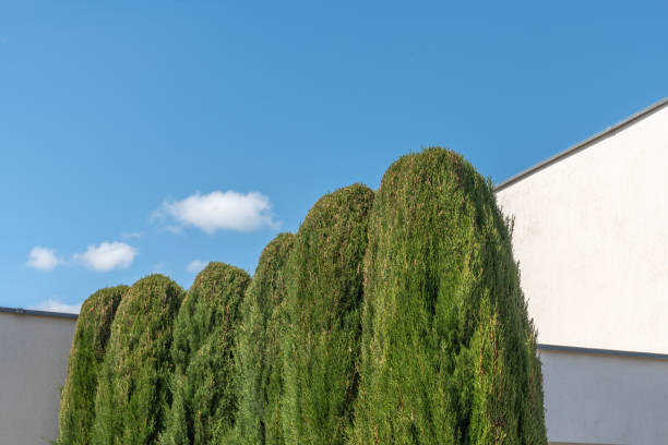 istock Villa of modern architecture in suburb in spring. 1402452555