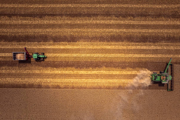 tractor y cosechadora de trigo - john deer fotografías e imágenes de stock