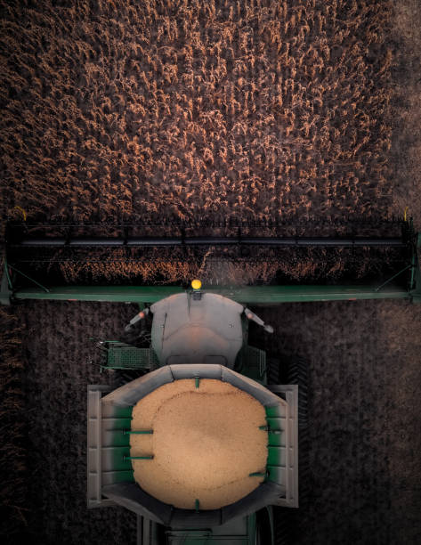 John Deere Combine in Soybeans Top Down View stock photo