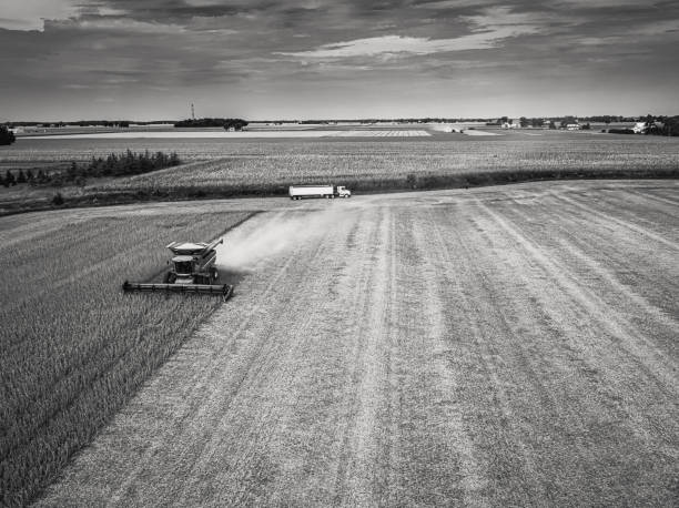 John Deere Combine Black and White Soybean Harvest stock photo