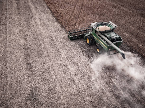 John Deere Combine in Field for Soybean Harvest 2 stock photo