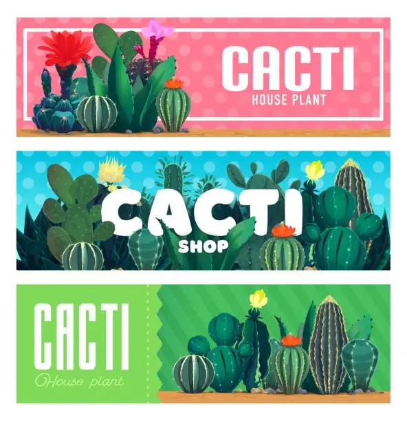 Vector illustration of House cacti succulents, desert plants and flowers