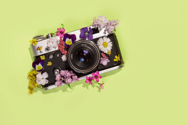 istock Vintage camera with flowers on a yellow/green background 1402458370