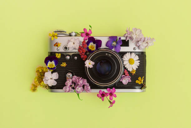 istock Vintage camera with flowers on a yellow/green background 1402458394