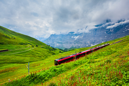 Train near the Kleine Scheidegg railway station in the Bernese Oberland region of Switzerland