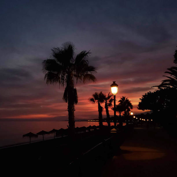 istock Marbella beach  in a Sunset light,  palm trees and lamp. 1402459920