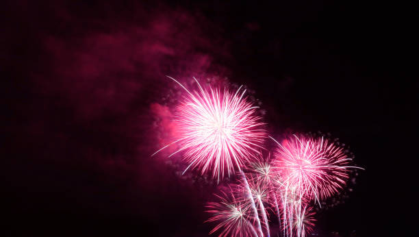 istock Stunning fuchsia pink fireworks exploding into the city night sky 1402462085