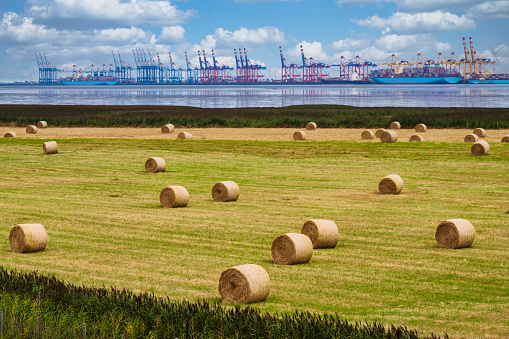 Nature and container port of Bremerhaven/Germany