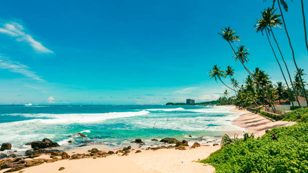 istock Dalawella Beach, Sri Lanka 1402466942