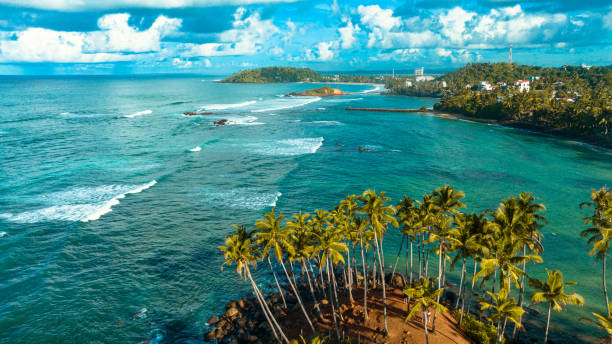 istock Palm trees on Mirissa beach, Sri Lanka 1402467123