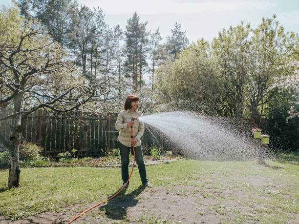 istock Senior woman watering garden 1402469421