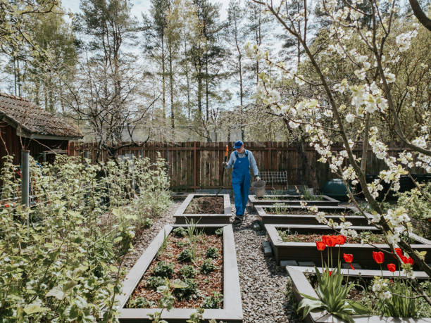 Senior man working in his garden