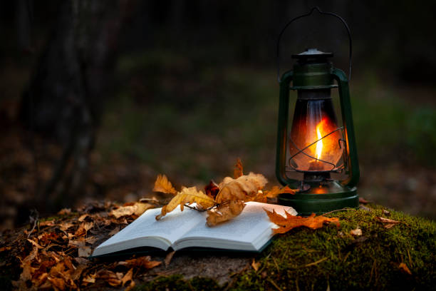 un libro aperto alla luce di una lanterna in autunno - yellow landscapes nature park foto e immagini stock