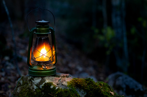 Lantern light in the autumn forest